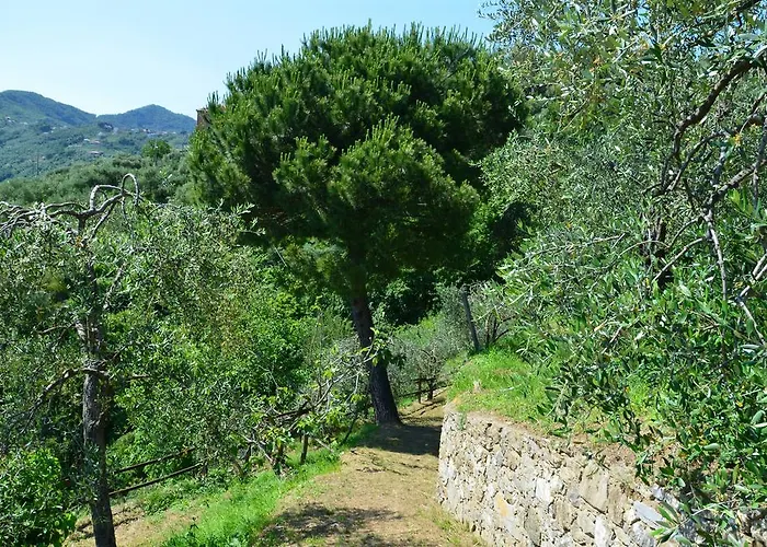 Delle Rose Gæstehus Chiavari